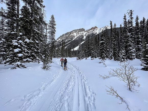 Following the skin track up Chickadee Valley.