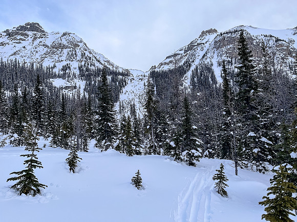 The treed avalanche path that grants access to Chickadee Peak.