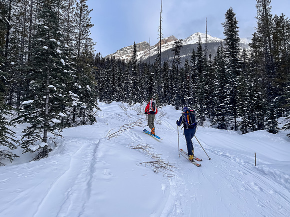 Following the skin track up Chickadee Valley.