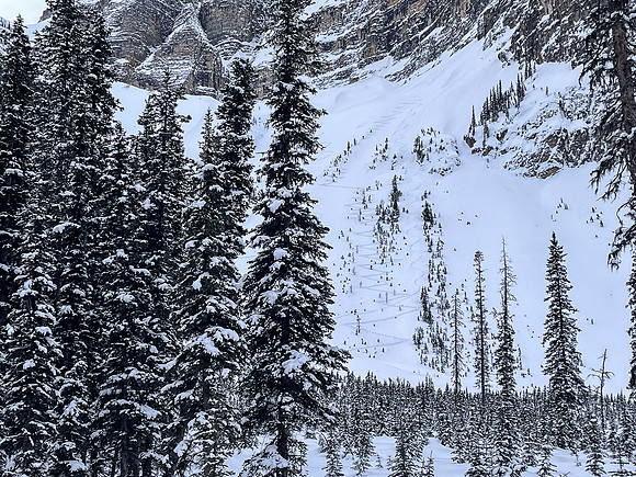 Views back to the north Whymper ski route.