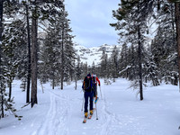 Following the skin track up Chickadee Valley.