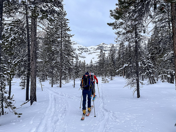 Following the skin track up Chickadee Valley.