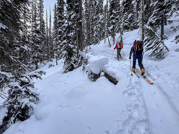 Skiing to the back of Chickadee Valley.