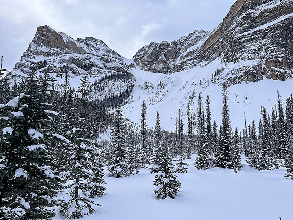 Views back to the north Whymper ski route.
