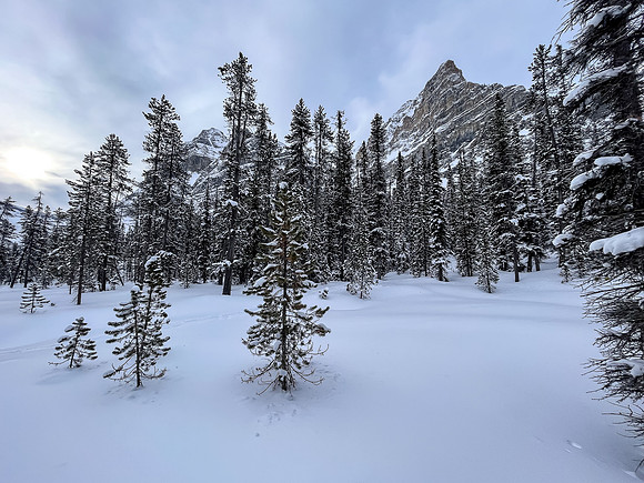 Following the skin track up Chickadee Valley.