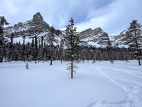 Following the skin track up Chickadee Valley.
