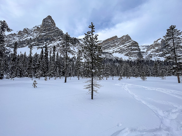 Following the skin track up Chickadee Valley.