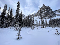 Views back to the north Whymper ski route.
