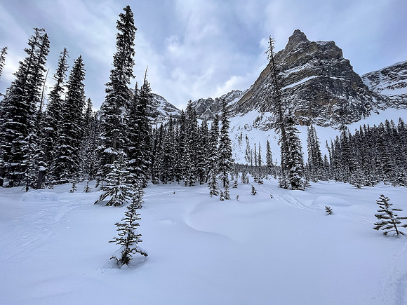 Views back to the north Whymper ski route.