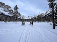 Following the skin track up Chickadee Valley.