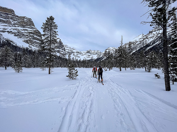 Following the skin track up Chickadee Valley.