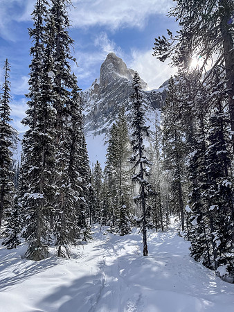 Exiting the Chickadee Valley.