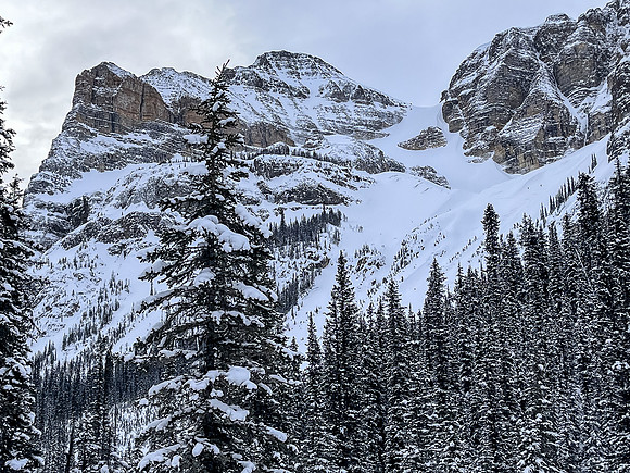 Views back to the north Whymper ski route.