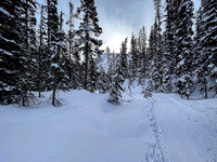 Following the skin track up Chickadee Valley.