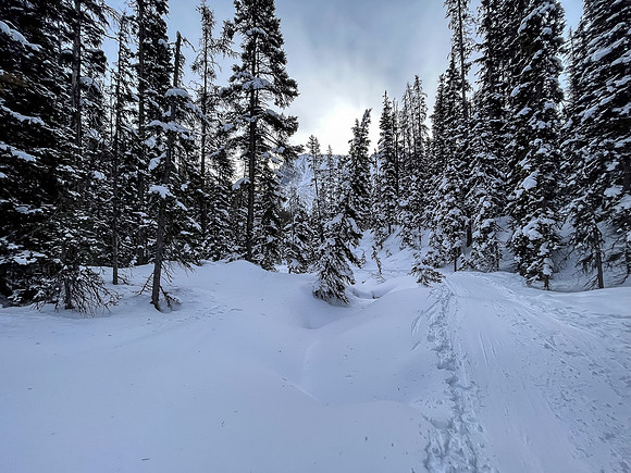 Following the skin track up Chickadee Valley.