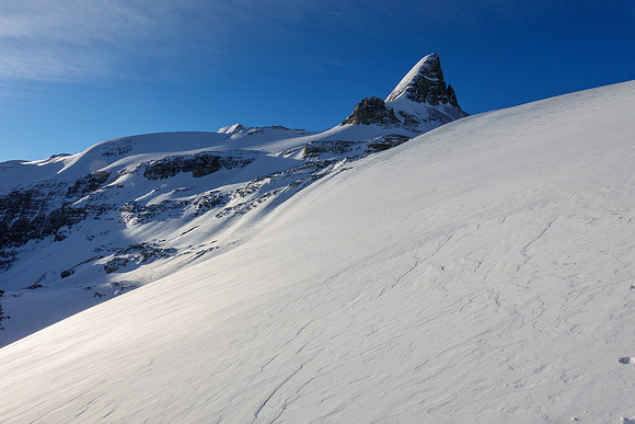 St. Nicholas Peak and the Wapta Icefield headwall.
