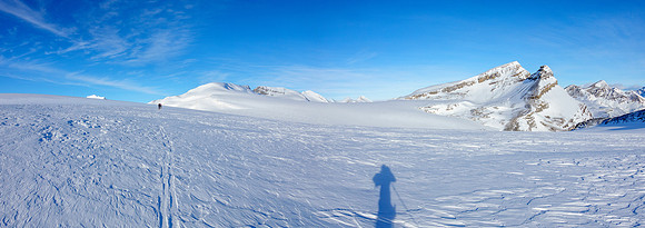 Skiing across the eastern section of the Wapta Icefield.