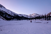 Crossing Bow Lake in predawn light.