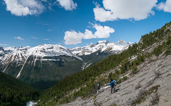Staying high on climber's left as we cross avy slopes above the steep gully. This is looking back at Amery (L) and Saskatchewan (R).