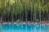 Interesting colors and terrain at the tiny lake.