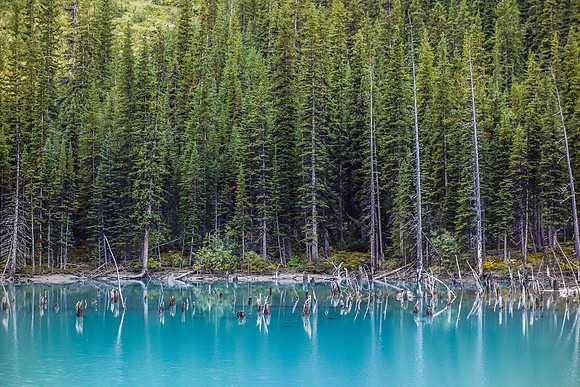 Interesting colors and terrain at the tiny lake.