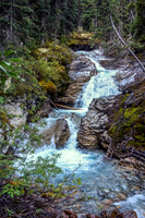 SE Amery Creek is rarely visited by two-legged creatures such as ourselves and has some gorgeous stream waterfalls alongside.