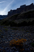 We start the long trudge down SE Amery Creek - looking back where we came from.
