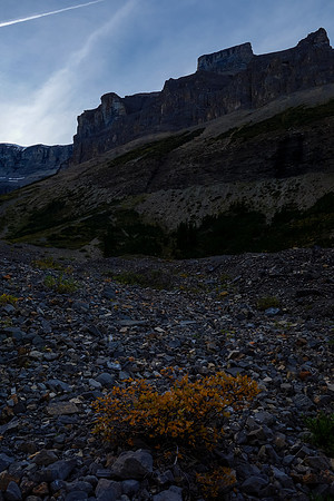 We start the long trudge down SE Amery Creek - looking back where we came from.