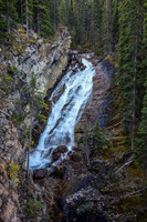 SE Amery Creek is rarely visited by two-legged creatures such as ourselves and has some gorgeous stream waterfalls alongside.