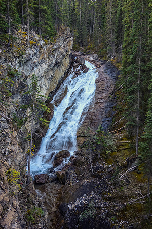 SE Amery Creek is rarely visited by two-legged creatures such as ourselves and has some gorgeous stream waterfalls alongside.