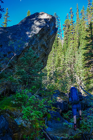 When travelling off-trail with an alpine pack you have to concentrate on every step or you'll find yourself flat on your face faster than greased lightning.