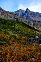Beautiful fall colors.