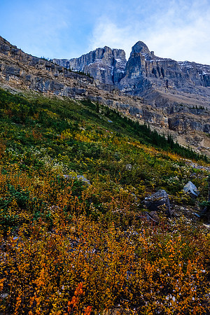 Beautiful fall colors.