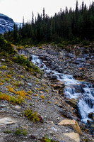 The lovely SE Amery Creek.