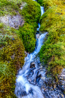SE Amery Creek is feed by many beautiful feeder streams coming off the glaciated unnamed summits to the south.