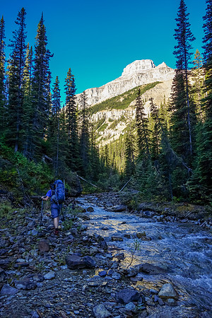 Sometimes we got little breaks were we could walk alongside the creek.