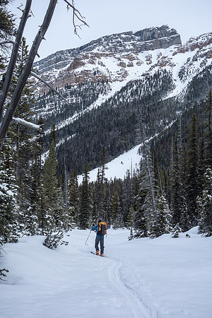 Wietse skis up the Chickadee Valley approach trail. Boom above him.