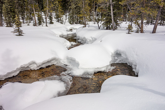 The valley is a beautiful and serene place to spend a warm afternoon on skis.