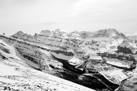 Ball, Beatrice and Stanley (L to R) were a great 2 day scrambling trip back in 2010.