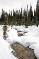 The valley is a beautiful and serene place to spend a warm afternoon on skis.