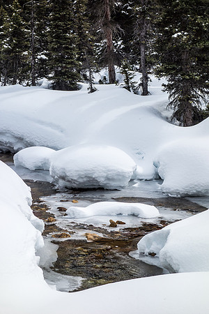 The valley is a beautiful and serene place to spend a warm afternoon on skis.