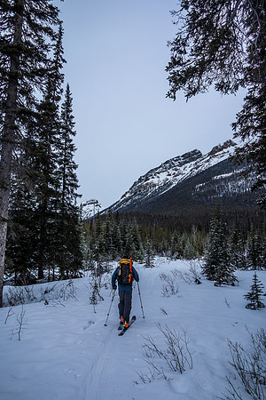 Wietse skis up the Chickadee Valley approach trail. Boom above him.