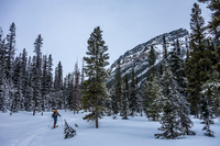 For a valley ski approach this is a very pleasant trail.