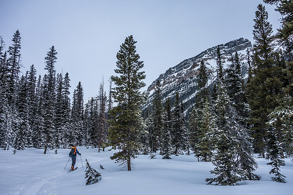 For a valley ski approach this is a very pleasant trail.
