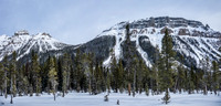 A great view of Boom Mountain and our avy route up via the avalanche path closest to the col at left.