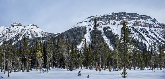 A great view of Boom Mountain and our avy route up via the avalanche path closest to the col at left.