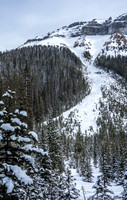 Looking up the path. We basically wandered through the debris after skiing up the lower 1/4 slope.