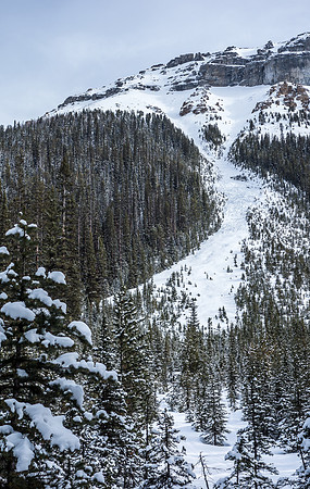 Looking up the path. We basically wandered through the debris after skiing up the lower 1/4 slope.