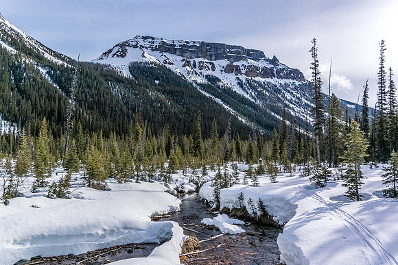 Looking back at our ascent skin track and Boom Mountain on the left.