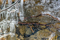 The river was very open with only a few large snow bridges still strong enough to support our weight